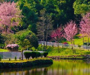 WARD'S LAKE: SHILLONG'S HORSESHOE OF TRANQUILITY